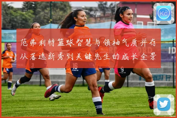 范弗利特篮球智慧与领袖气质并存从落选新秀到关键先生的成长全景解析