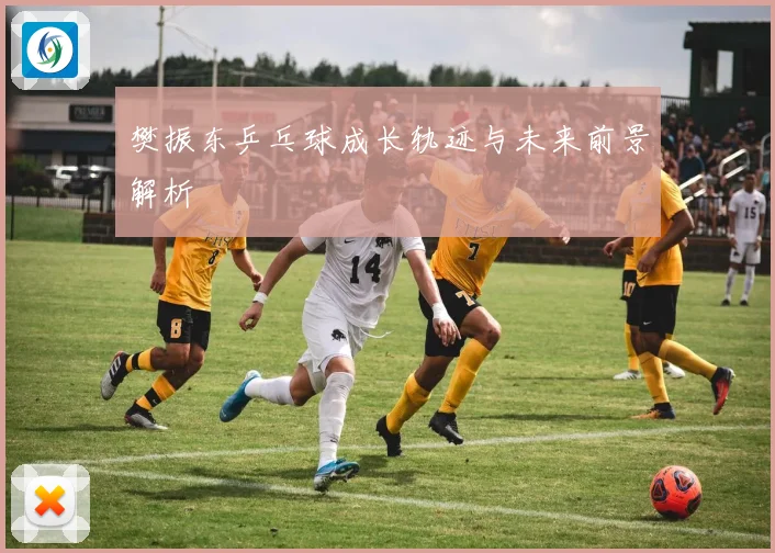 樊振东乒乓球成长轨迹与未来前景解析