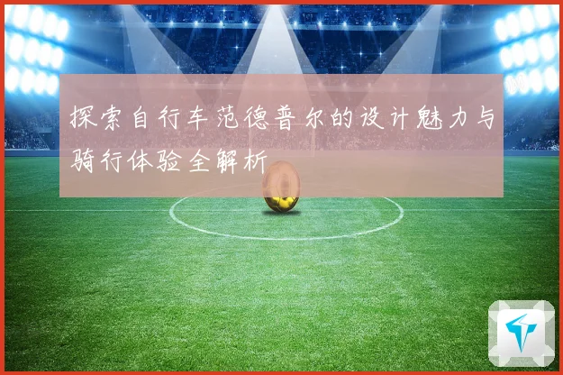 探索自行车范德普尔的设计魅力与骑行体验全解析