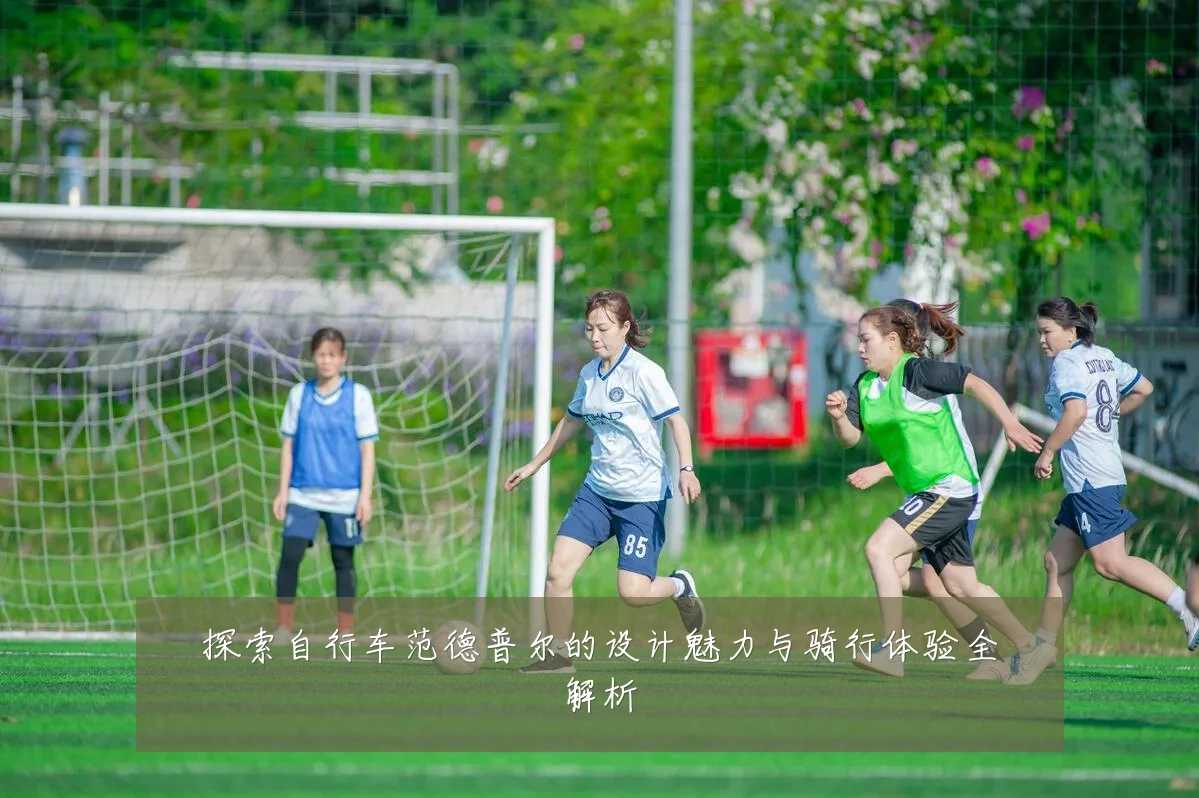 探索自行车范德普尔的设计魅力与骑行体验全解析