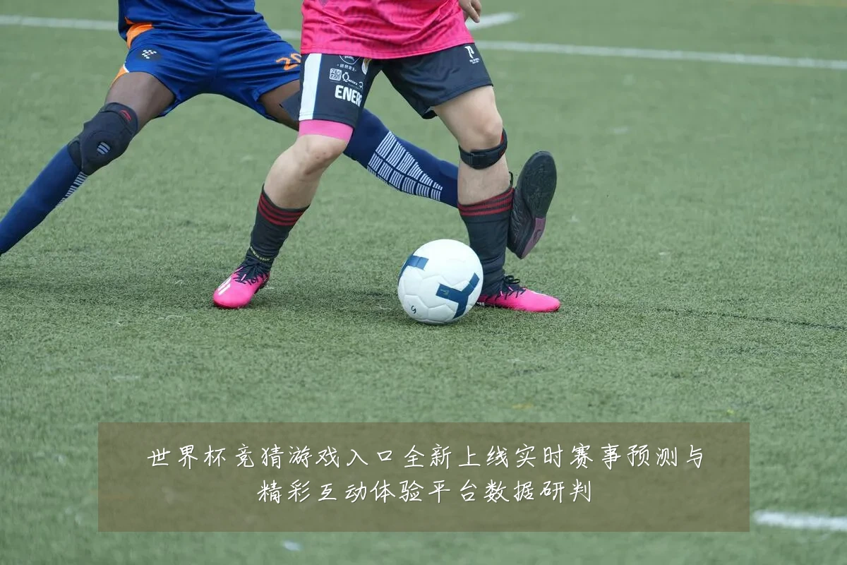 世界杯竞猜游戏入口全新上线实时赛事预测与精彩互动体验平台数据研判